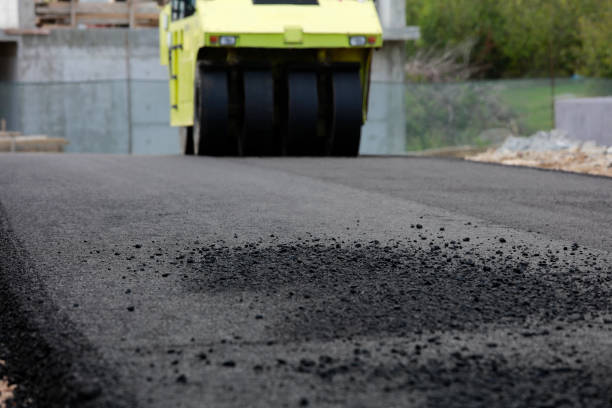 Best Residential Paver Driveway  in Holland, TX